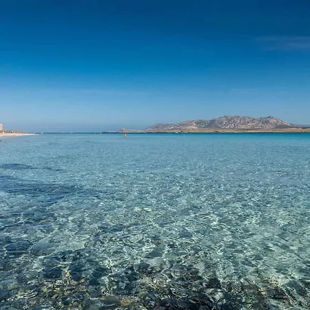 - Insel Sardinien 35763 *