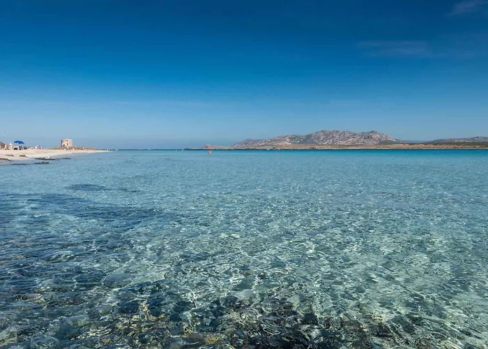 - Insel Sardinien 35763 *